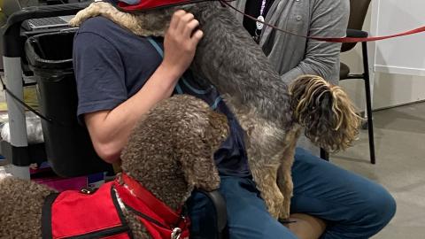 A young man sits in a chair with a dog on his lap and a dog by his side, while an SHA employee in the background gets ready to give him his vaccine. 