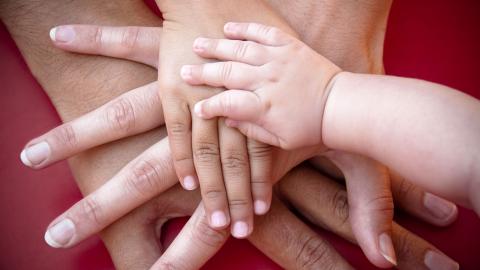 Hands of family