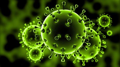 COVID-19 Molecular level