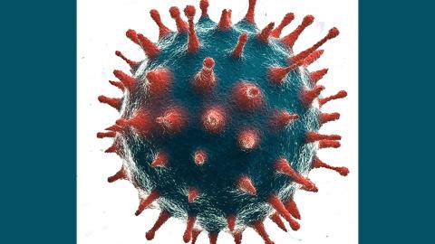 COVID-19 virus