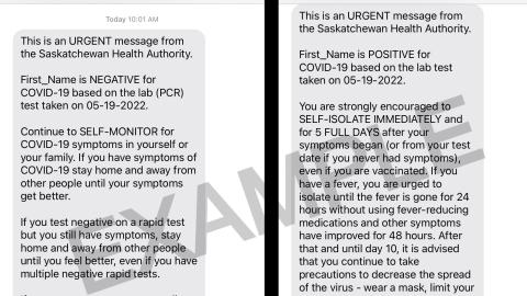 Automated positive and negative COVID-19 PCR test result examples