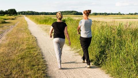 two people walking down a path