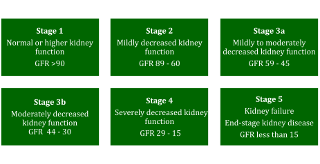 Stages of chronic kidney disease