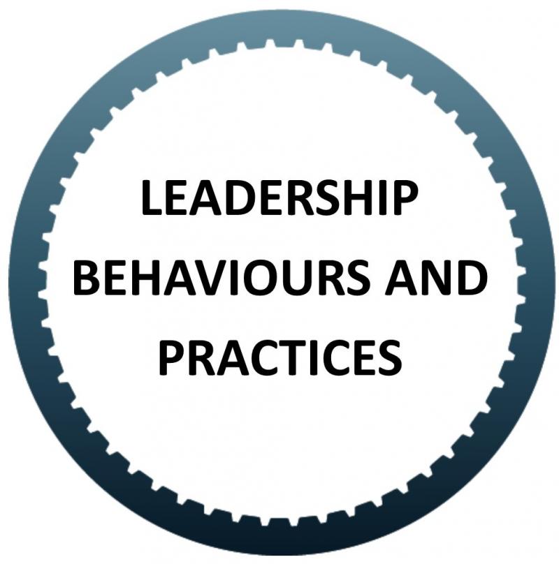 Leadership Behaviours and Practices