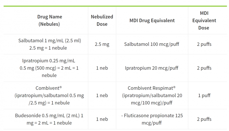 Nebulizer to Metered Dose Inhaler (MDI) Conversion