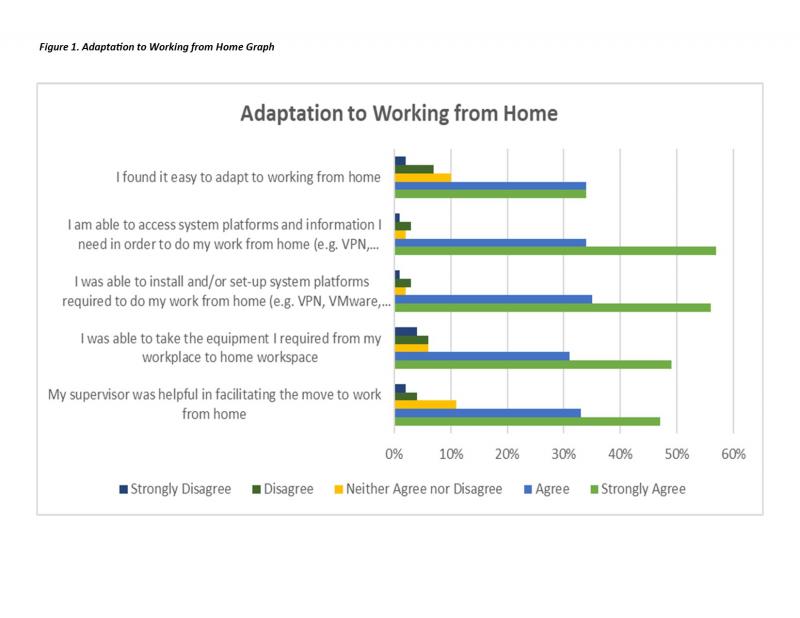 Adaptation to Working from Home