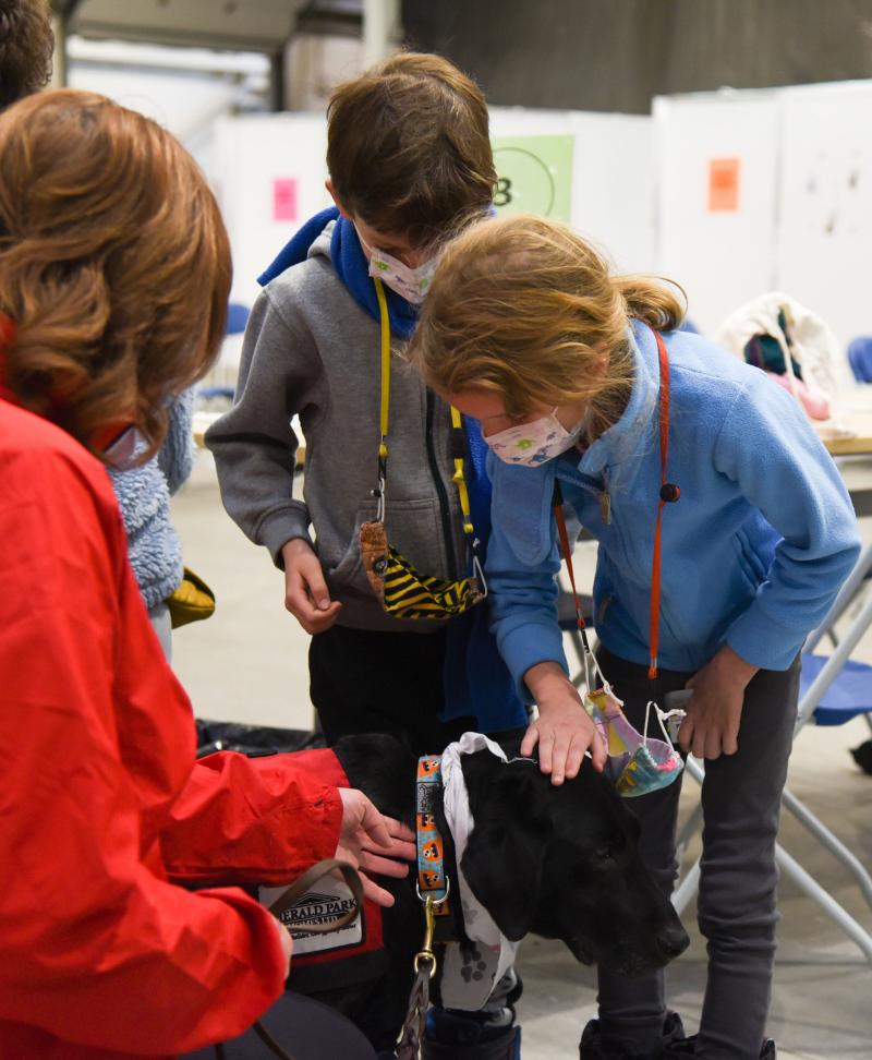 Twins getting to know therapy dog Magic before receiving their COVID-19 vaccine.