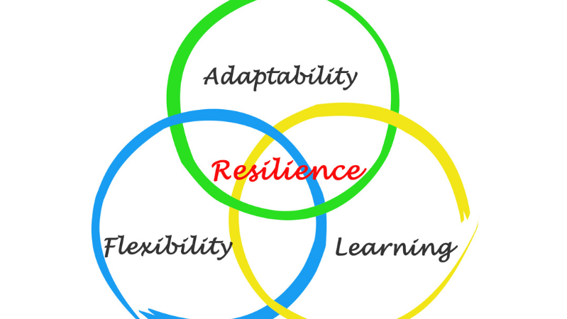 Adaptability + Flexibility + Learning = Resilience