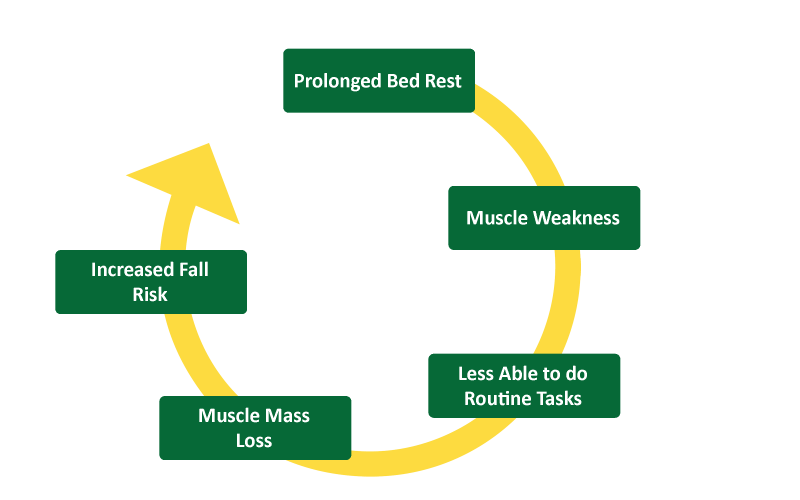Prolonged Bed Rest Graph