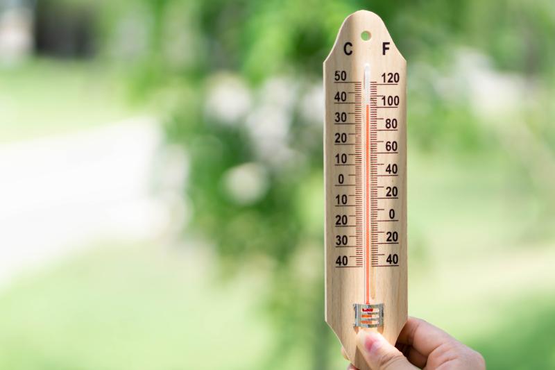 A thermometer is held up, in the background are leaves.