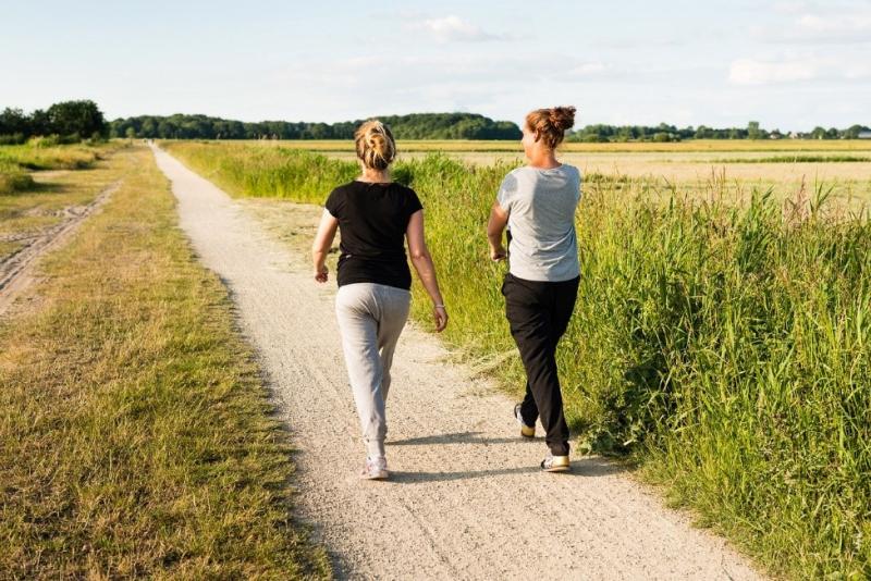 two people walking down a path