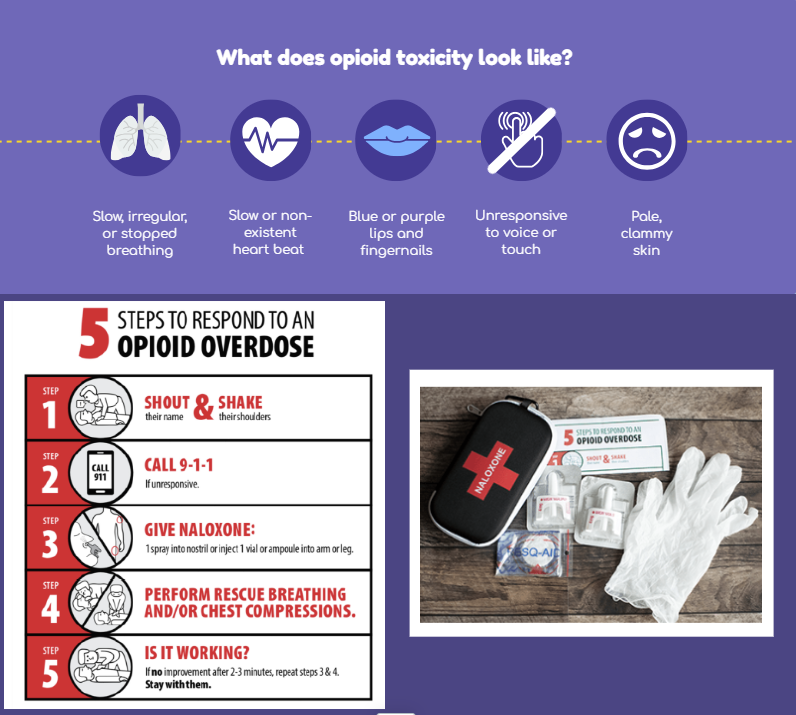 Opioid toxicity picture