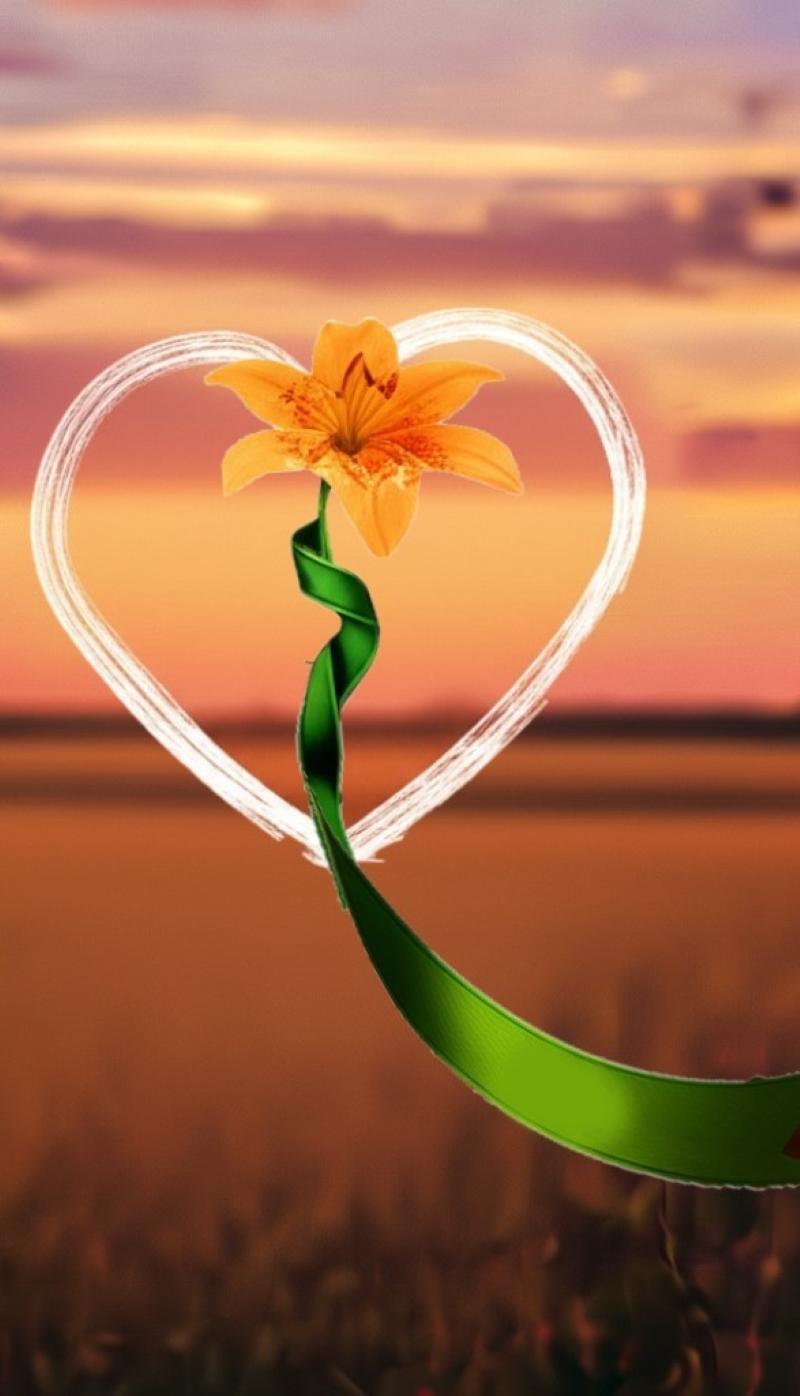 Tiger lily with green donation ribbon